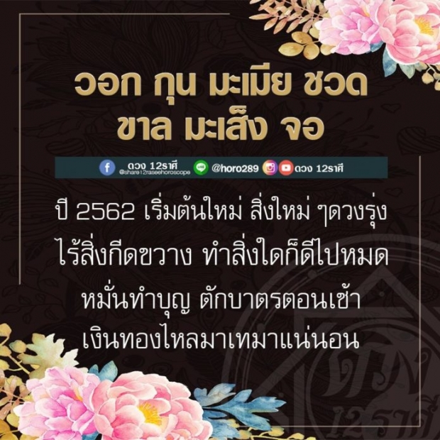 ดวง 7 ปีนักษัตรนี้ ชีวิตรุ่ง ได้เริ่มต้นใหม่ ไร้สิ่งกีดขวาง ทำสิ่งใดก็ดีไปหมด