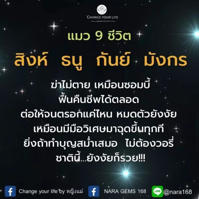  เปิดดวง4ราศี แมว9ชีวิตดวงแข็งชาตินี้....อย่างไรก็รวย!